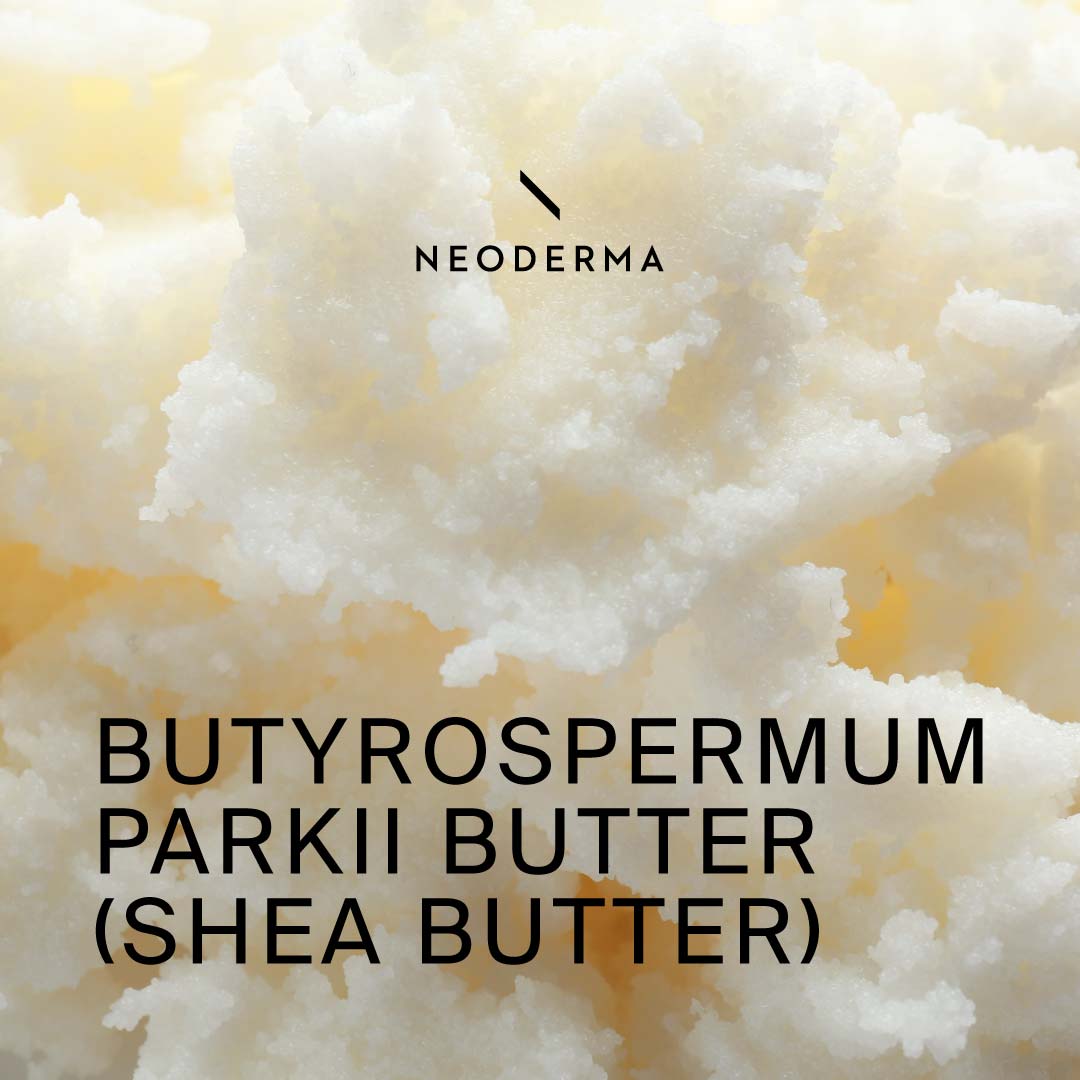 Butyrospermum Parkii Butter (Shea Butter)