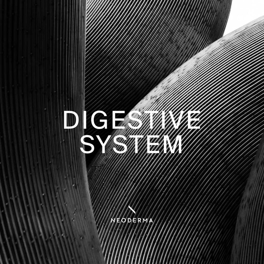 Digestive System