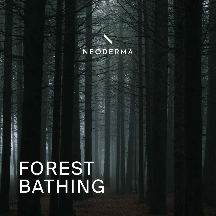 Forest Bathing