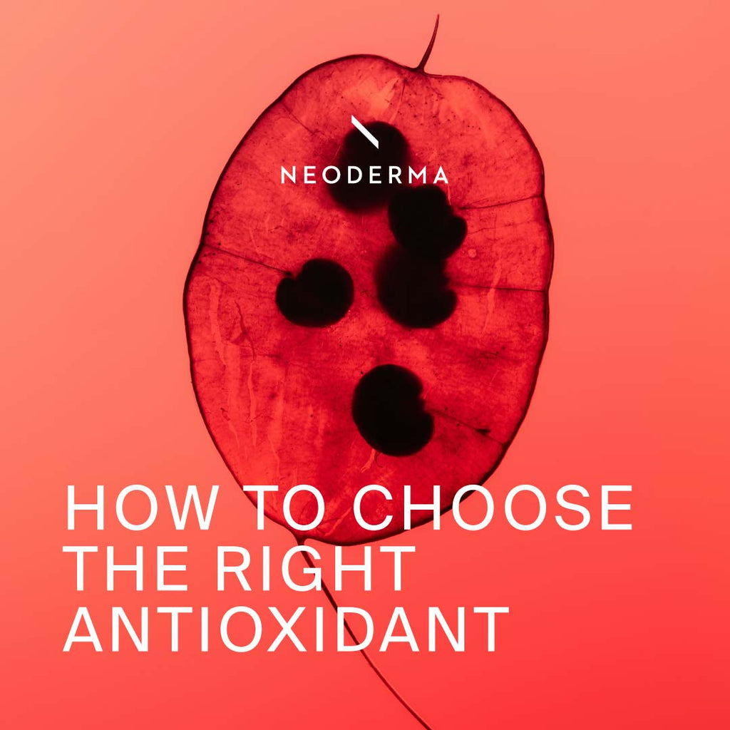 How to Choose The Right Antioxidant