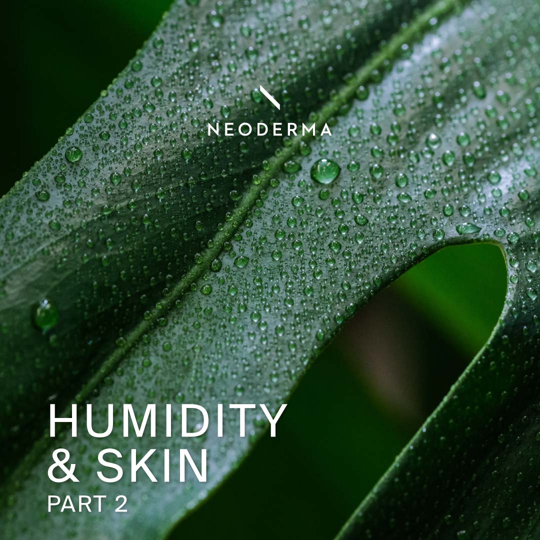 Humidity & Skin Part 2 – NEODERMA