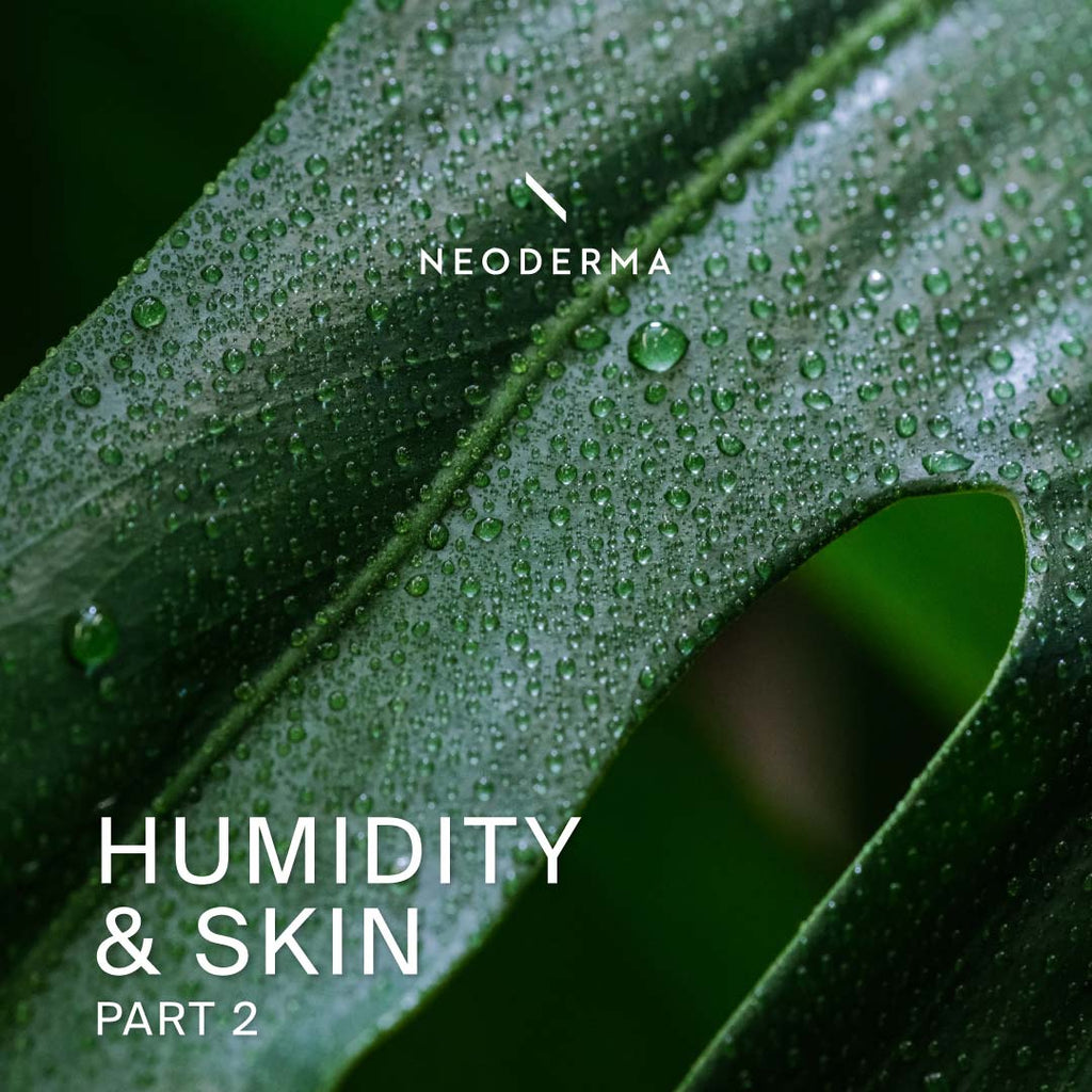 Humidity & Skin Part 2