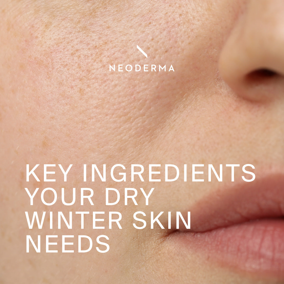 Key Ingredients Your Dry Winter Skin Needs