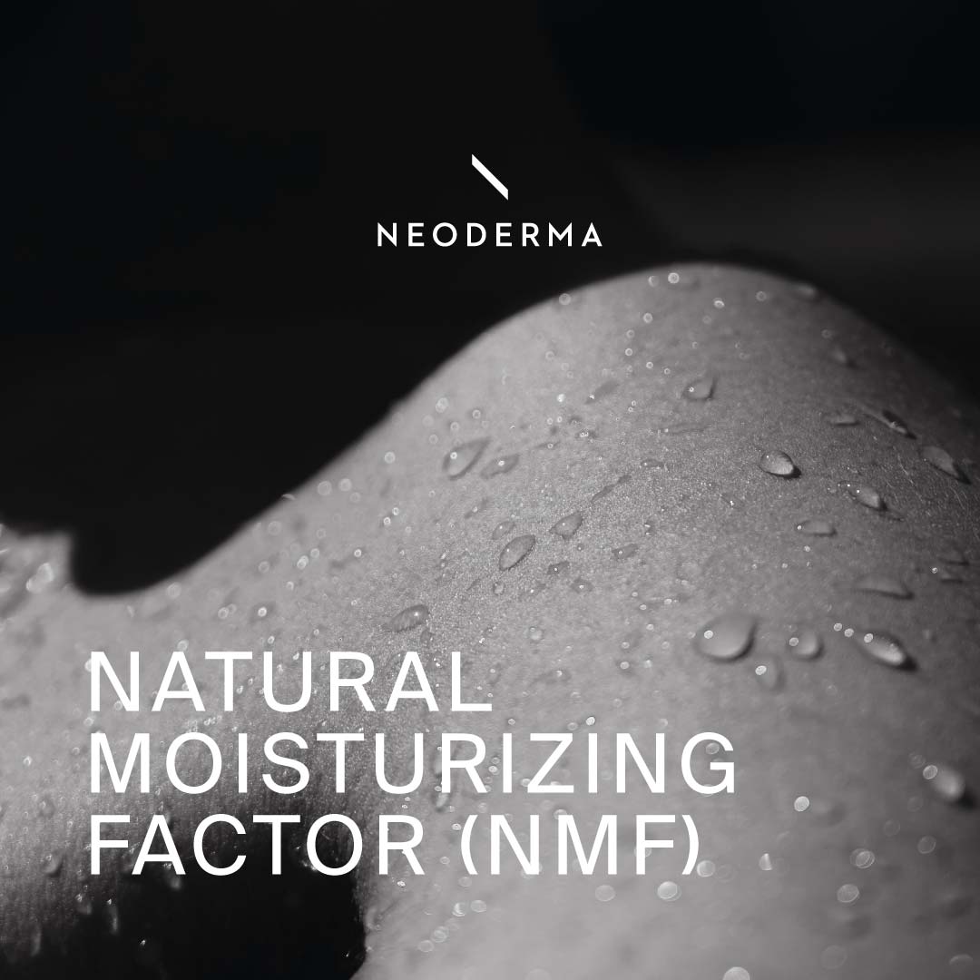 Natural Moisturizing Factor (NMF)