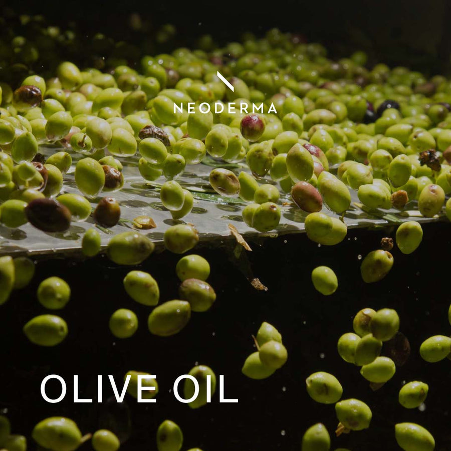 Olive Oil