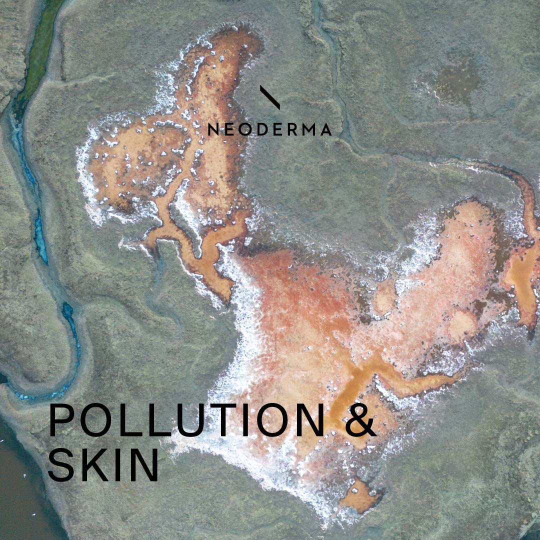 Pollution & Skin