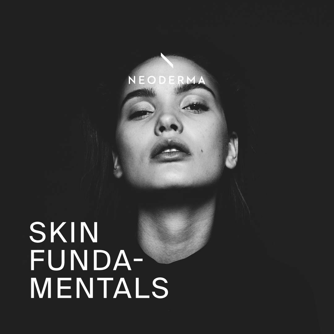 Skin Fundamentals