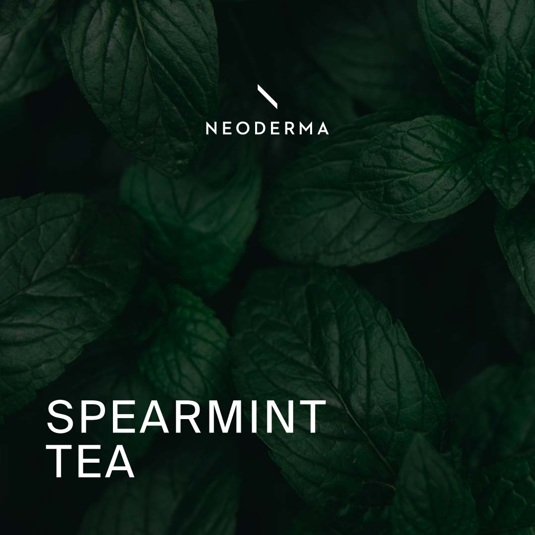 Spearmint Tea