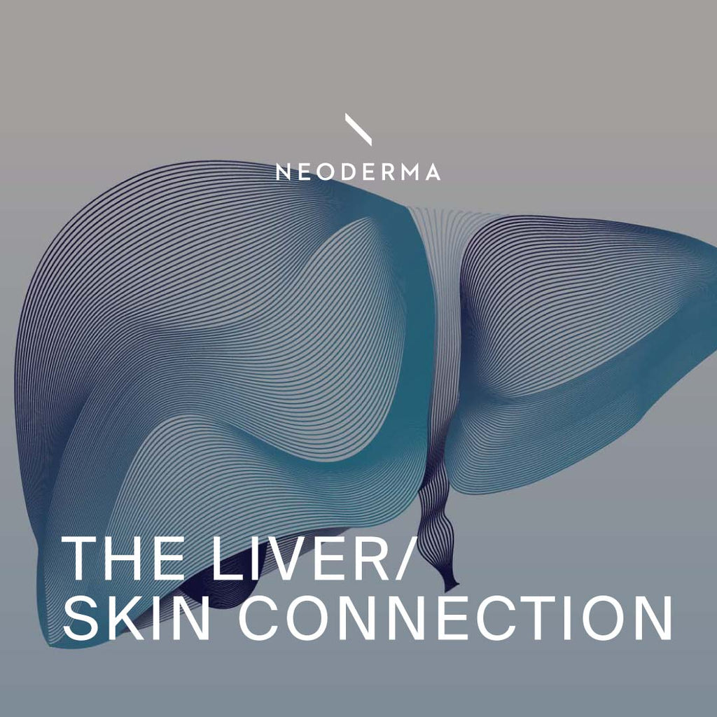 The Liver/Skin Connection