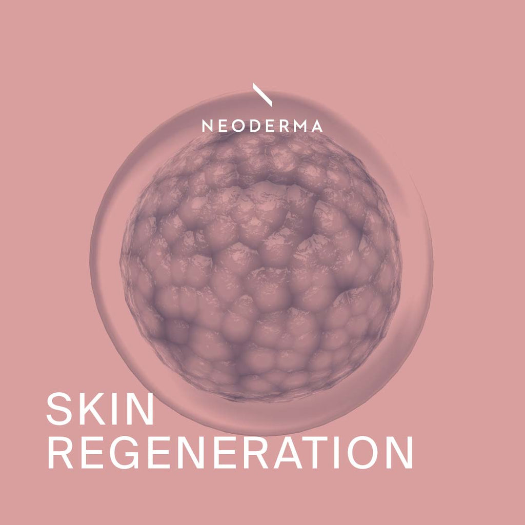 Skin Regeneration