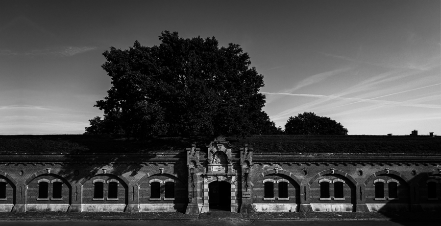 NEODERMA Fortress