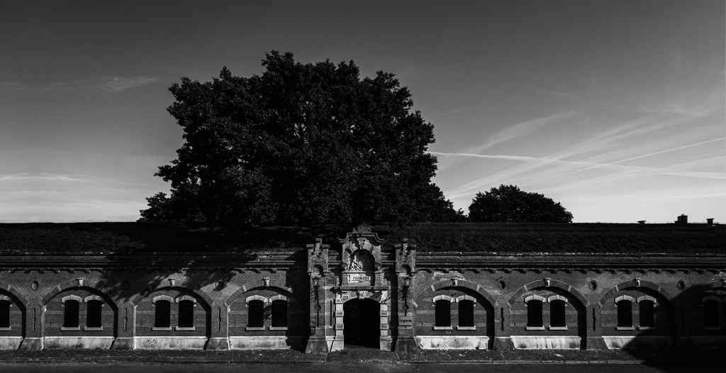 NEODERMA Fortress