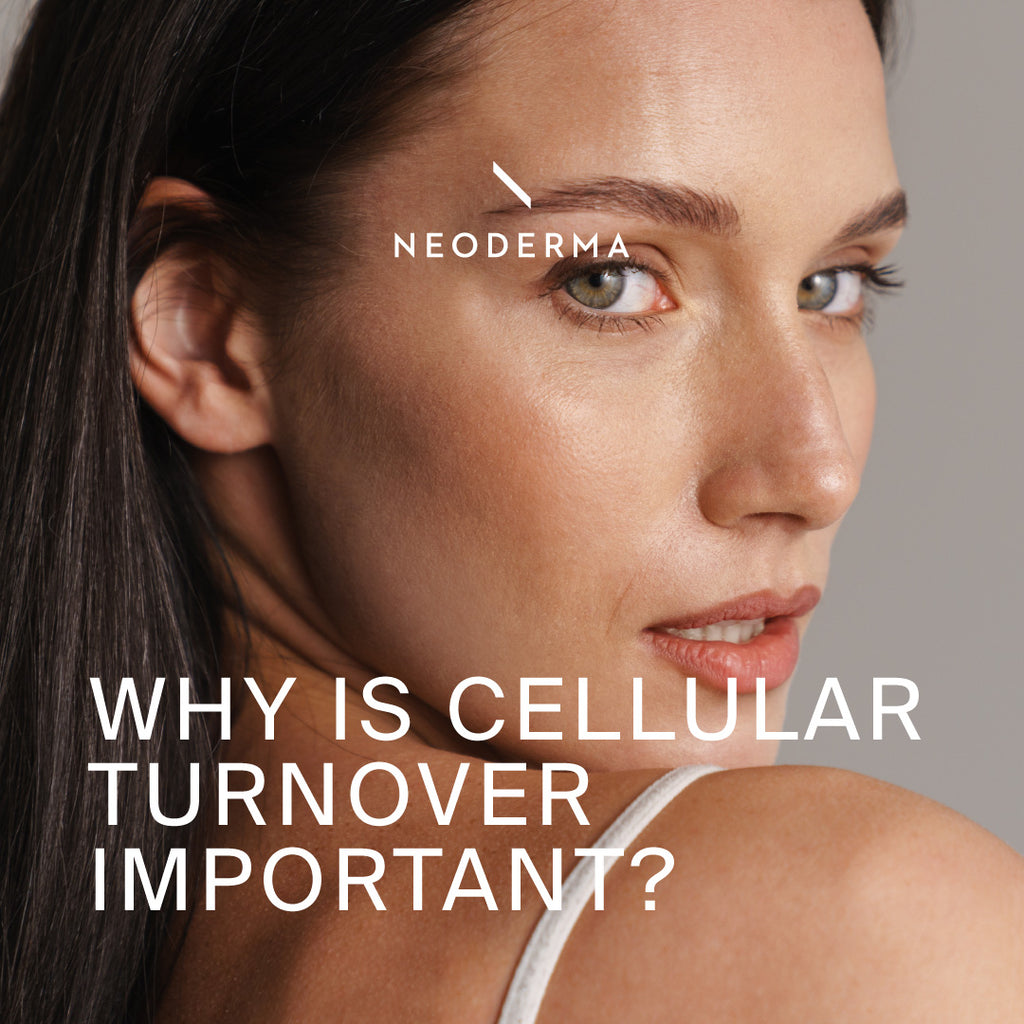 Why is Cellular Turnover Important?