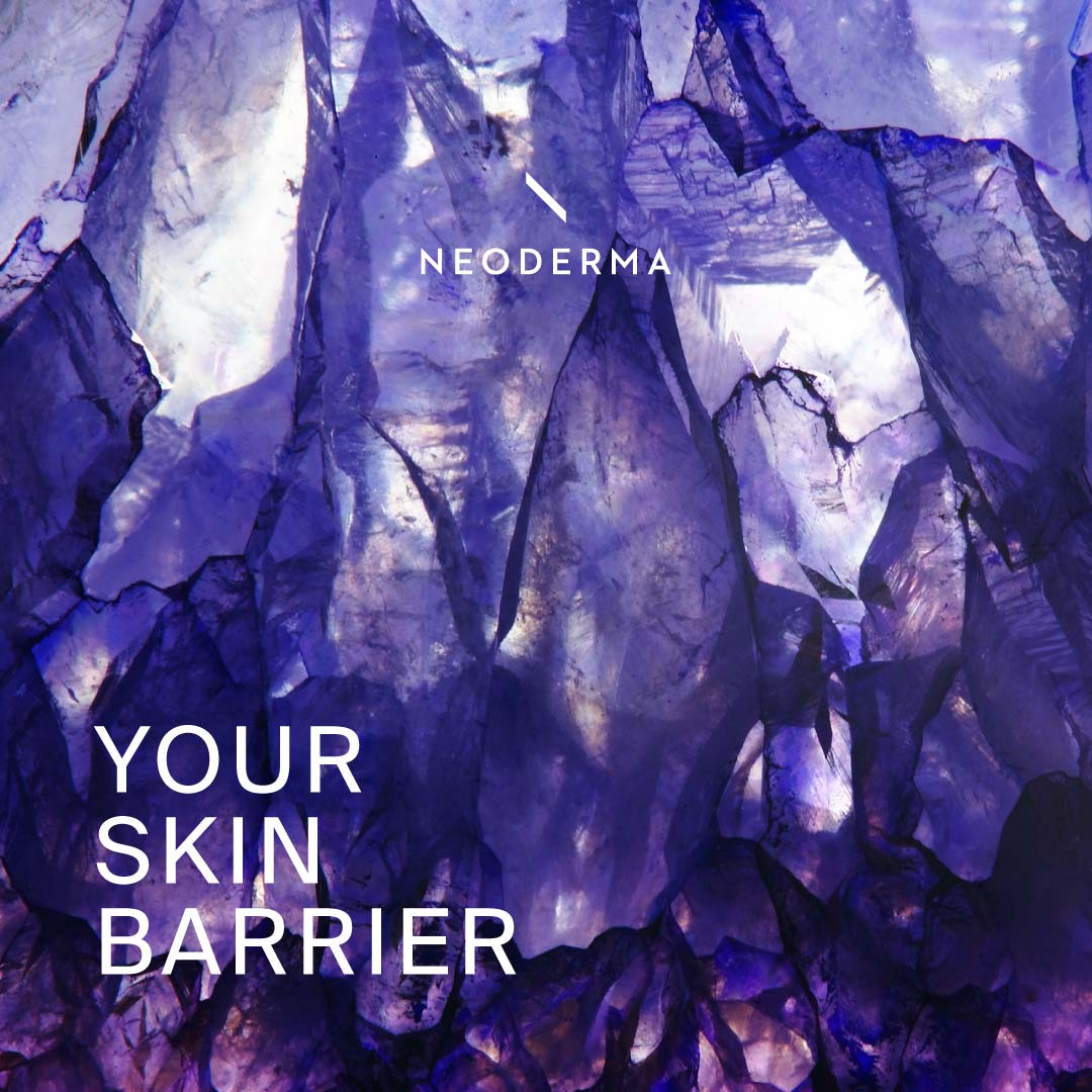 Your Skin Barrier